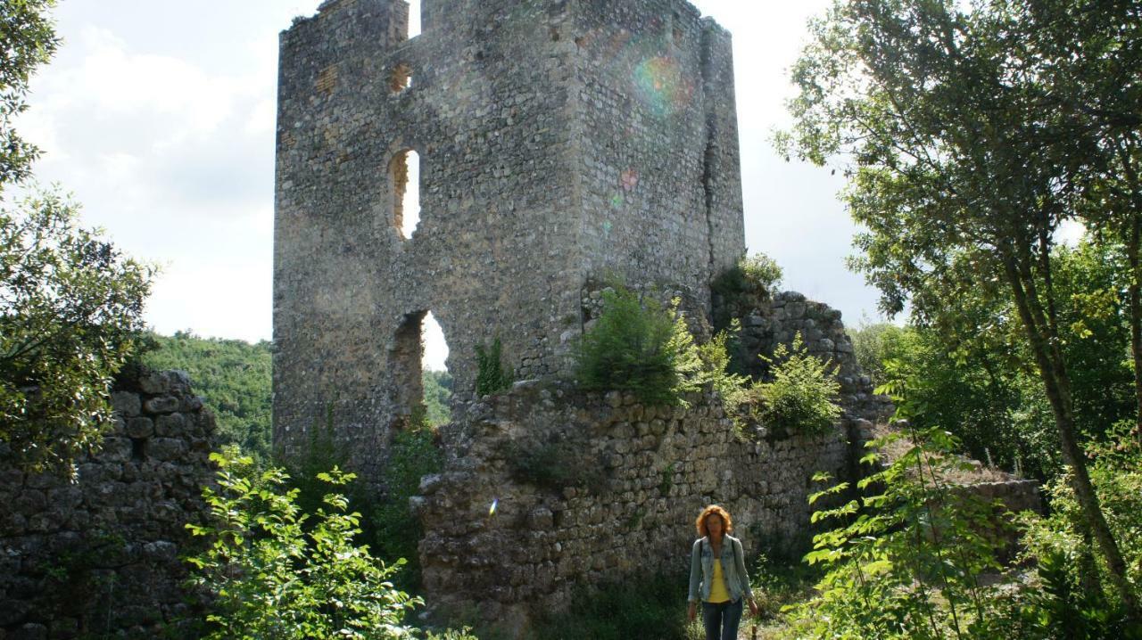 Villa Borgo La Fungaiaガンバッシ・テルメ エクステリア 写真